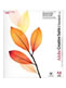 Adobe Creative Suite2 Standard (Windows・Mac) パッケージ版