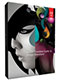 Adobe Creative Suite 6 Design Standard  (Windows・Mac) パッケージ版