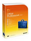 Microsoft Office Professional 2010 通常版 パッケージ版